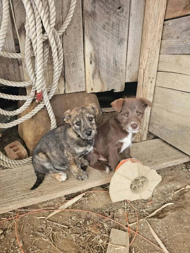 Wednesday Surprise : Stu thumbnail 4