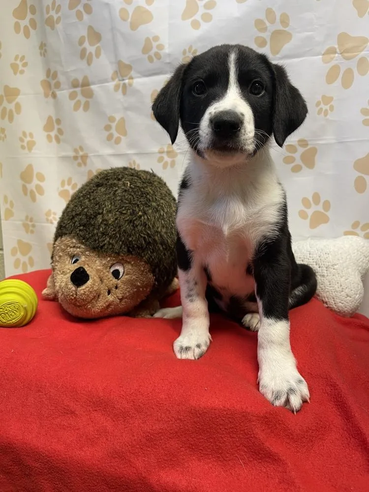 Emily Rose thumbnail 2