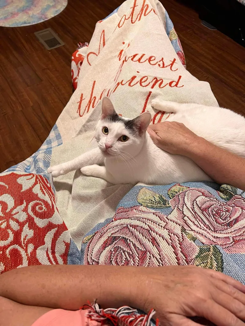 Remi Adult Female thumbnail 3