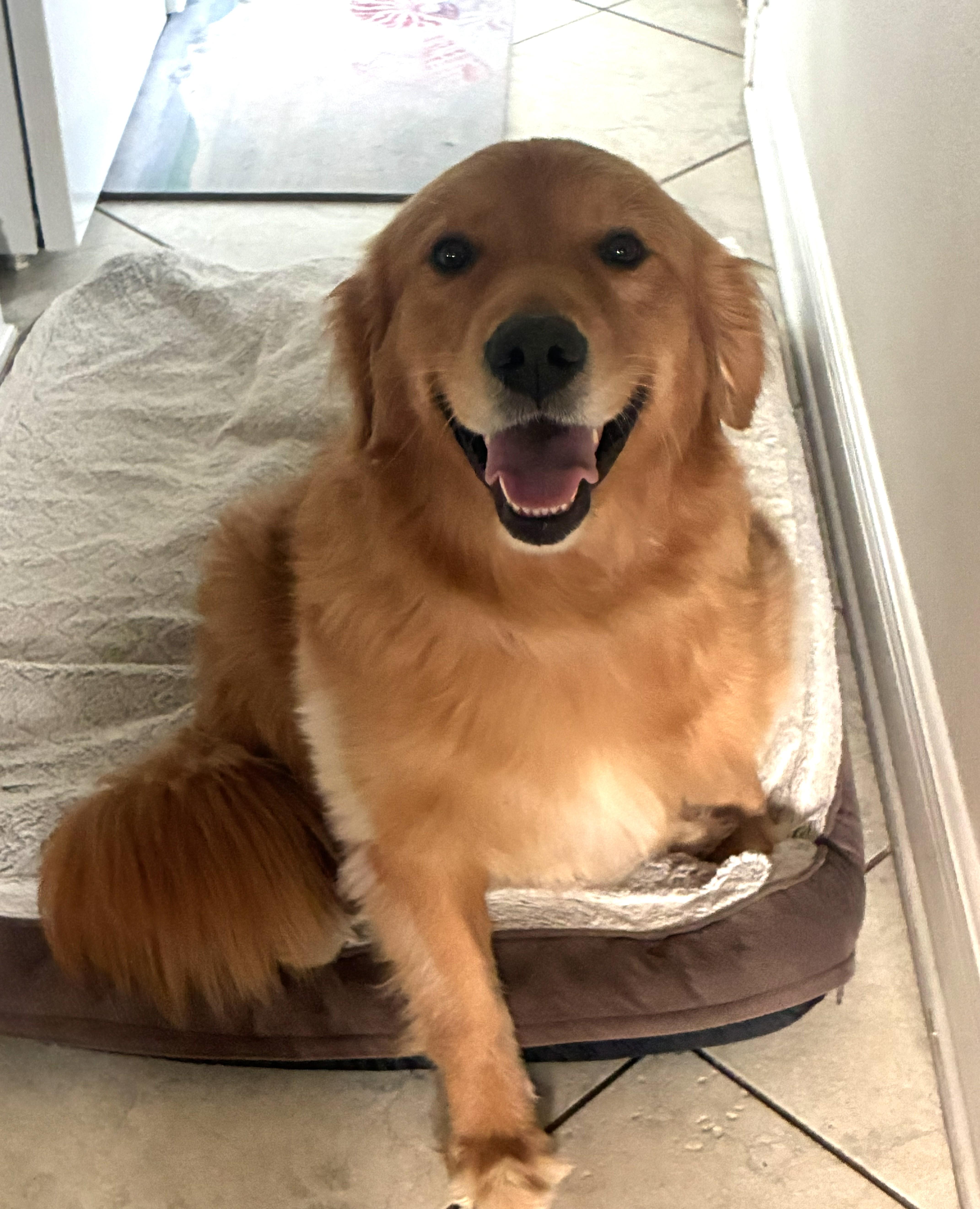 Sadie thumbnail 2