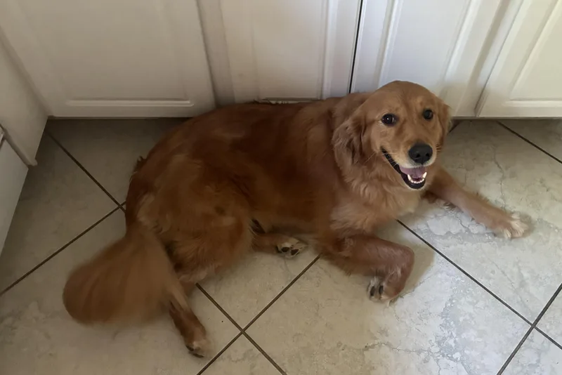 Sadie thumbnail 5