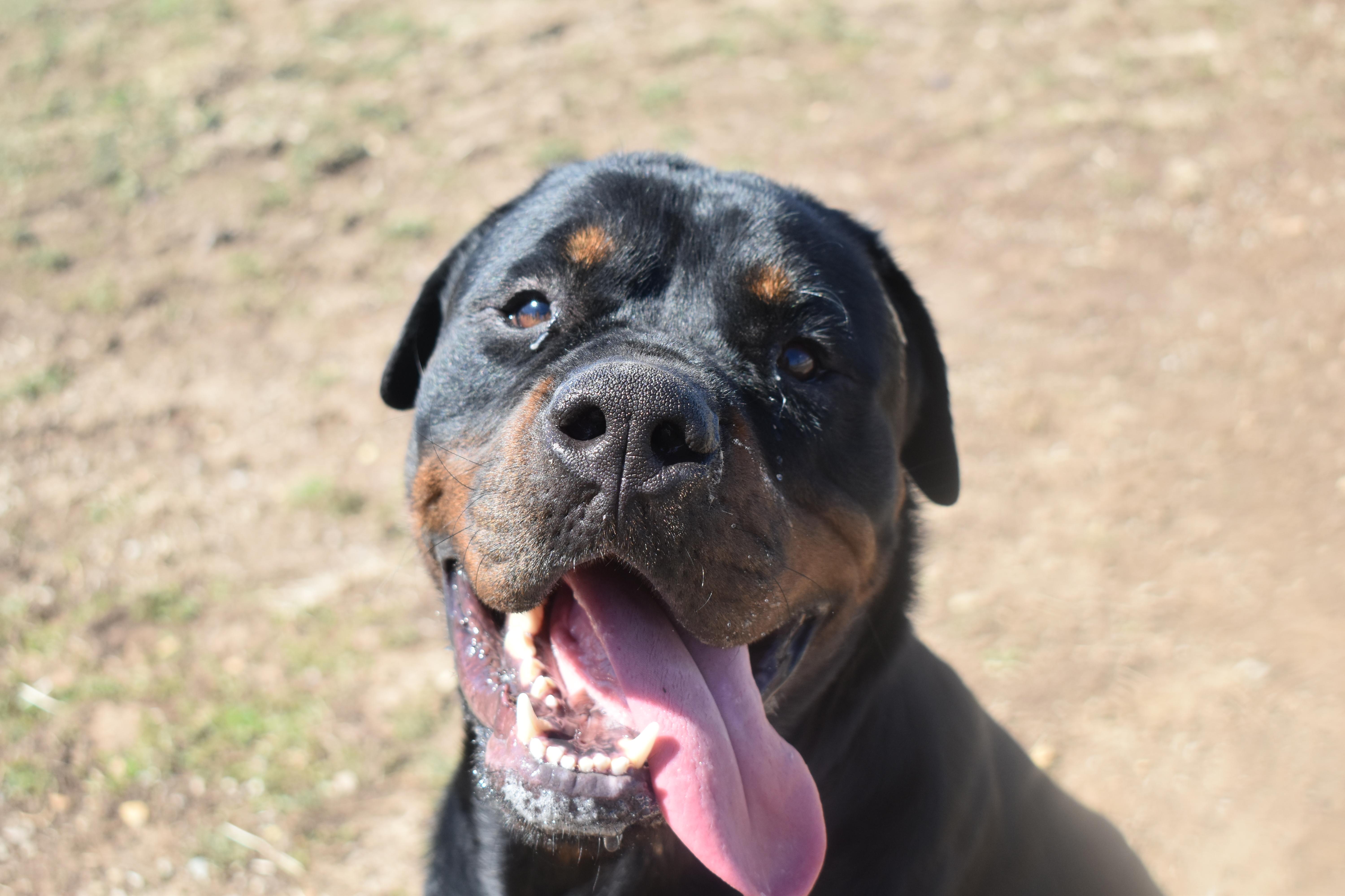 Papa Roach thumbnail 2