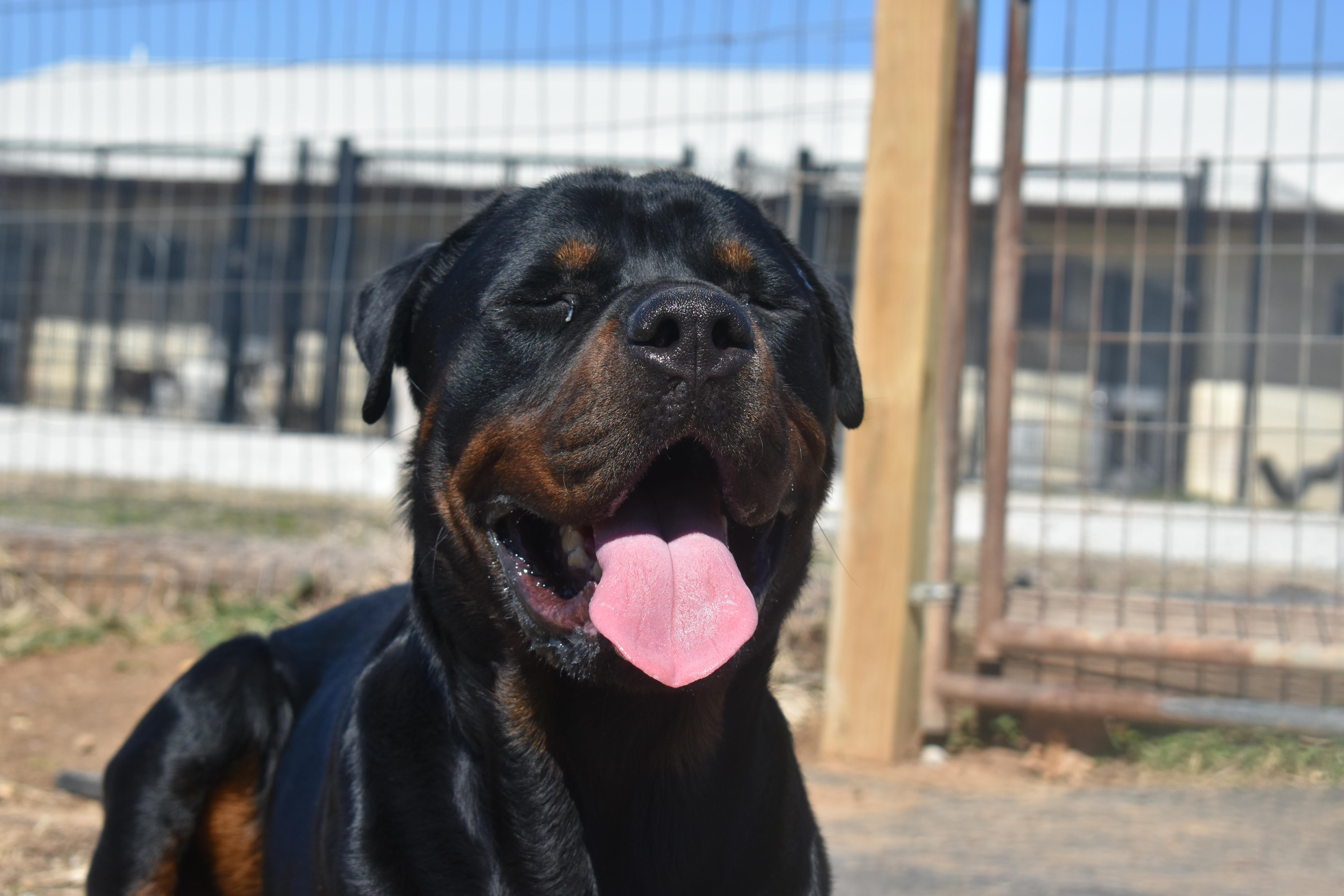 Papa Roach thumbnail 3