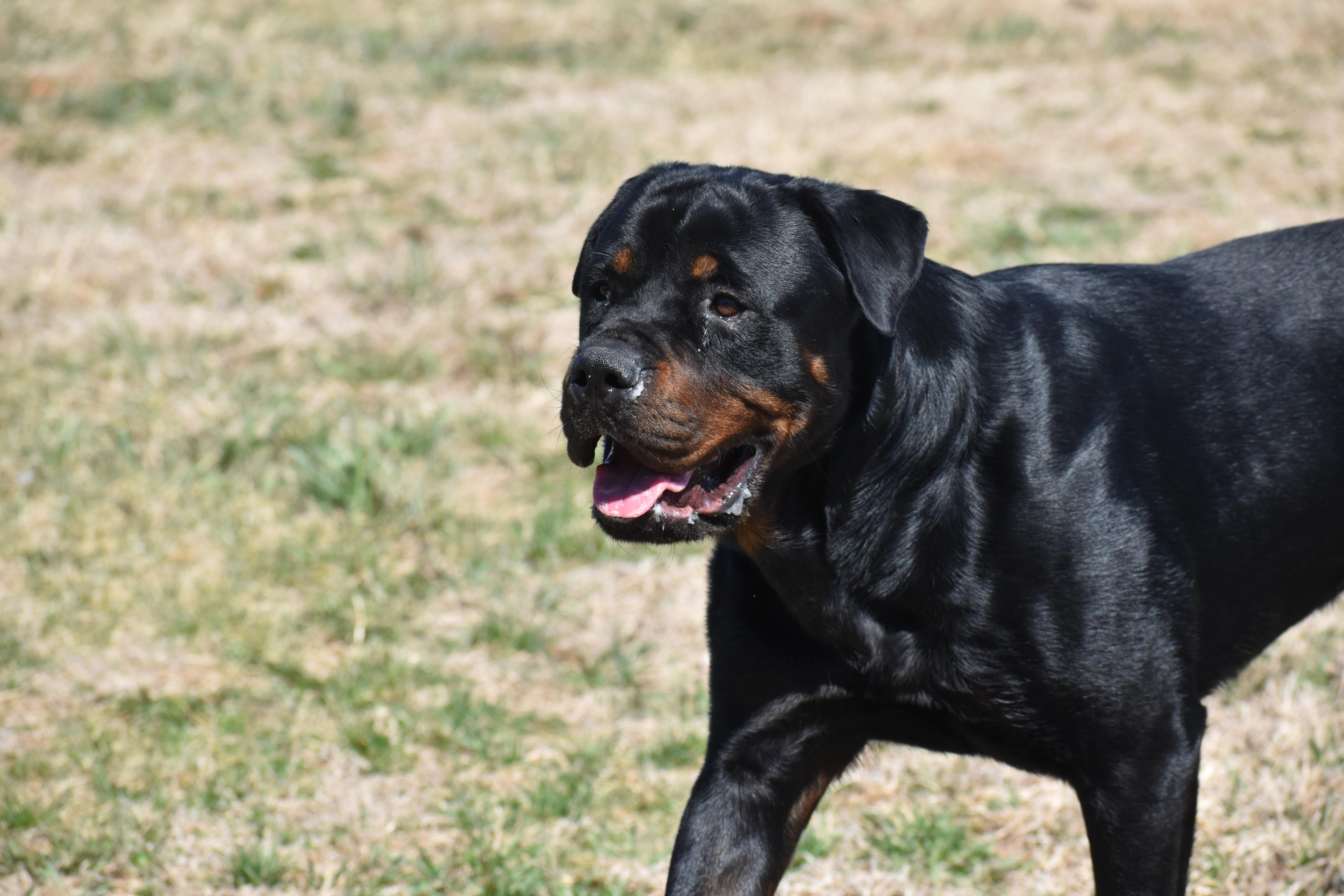 Papa Roach thumbnail 4