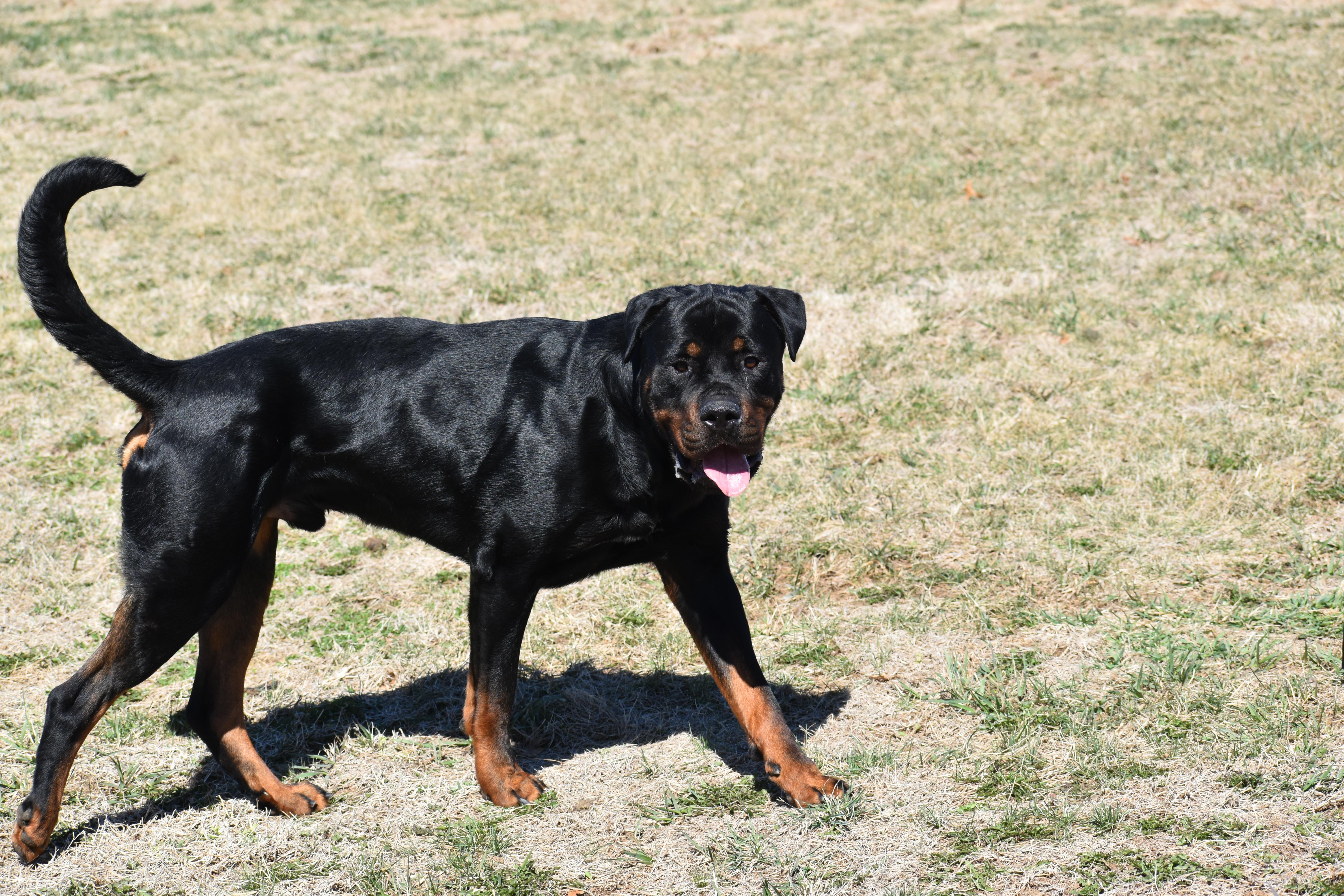 Papa Roach thumbnail 5