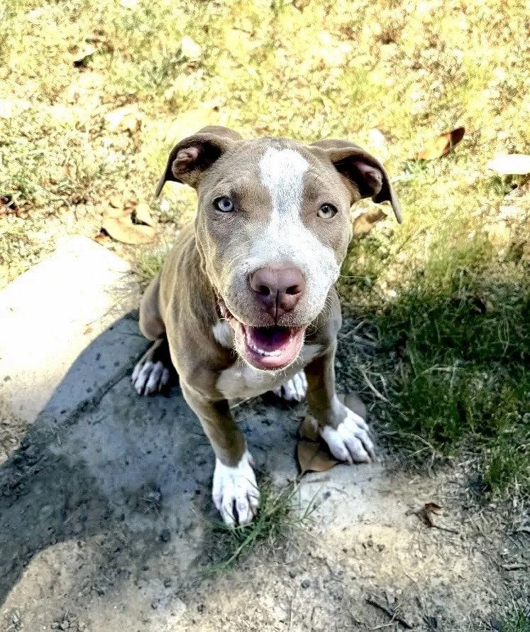 Missy Mae thumbnail 3