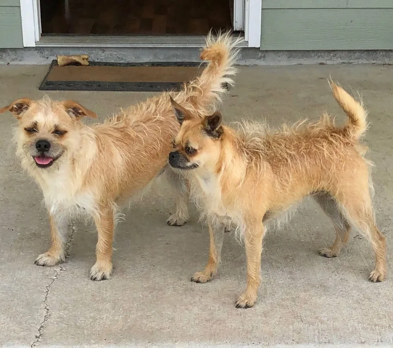 Chloe & Sammy thumbnail 2