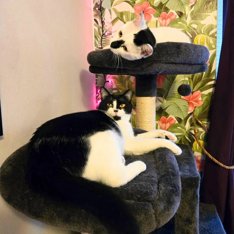 Lily & Daisy  thumbnail 2