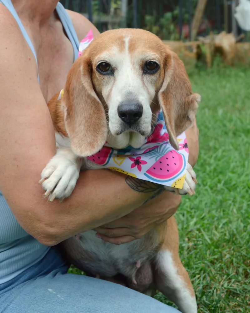 Maggie Moo thumbnail 2