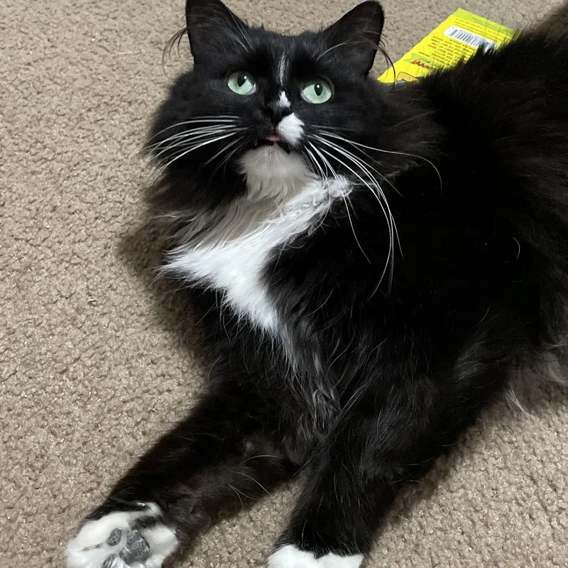 Princess Donut thumbnail 2