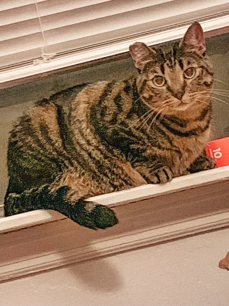 Marti thumbnail 3