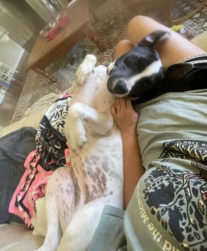 Britty thumbnail 6
