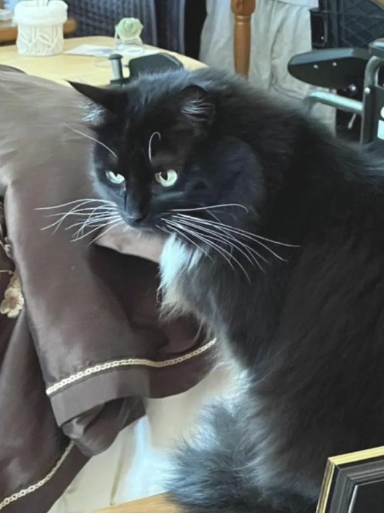 Abby thumbnail 3