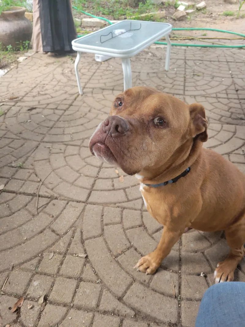 Max