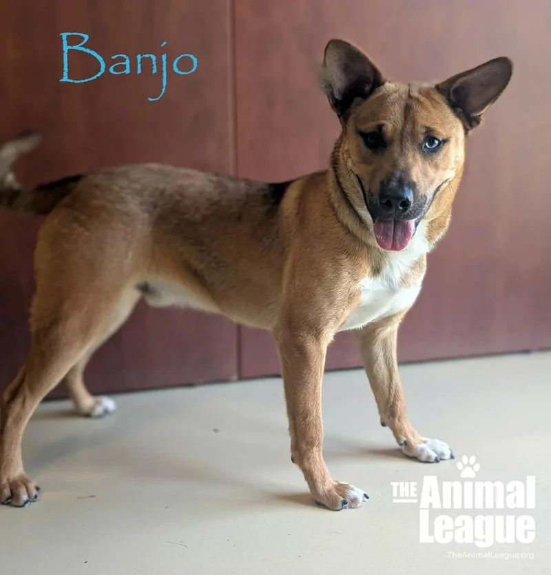 Banjo thumbnail 2
