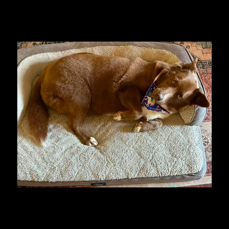 Kizzy the angel thumbnail 2