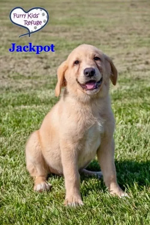Jackpot thumbnail 2