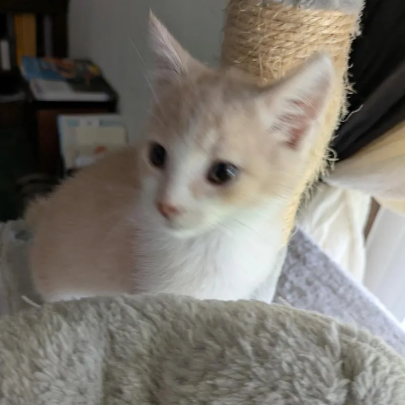 Billy
