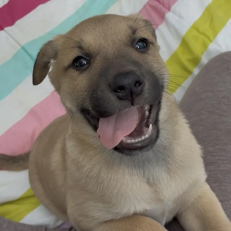 Winston thumbnail 2
