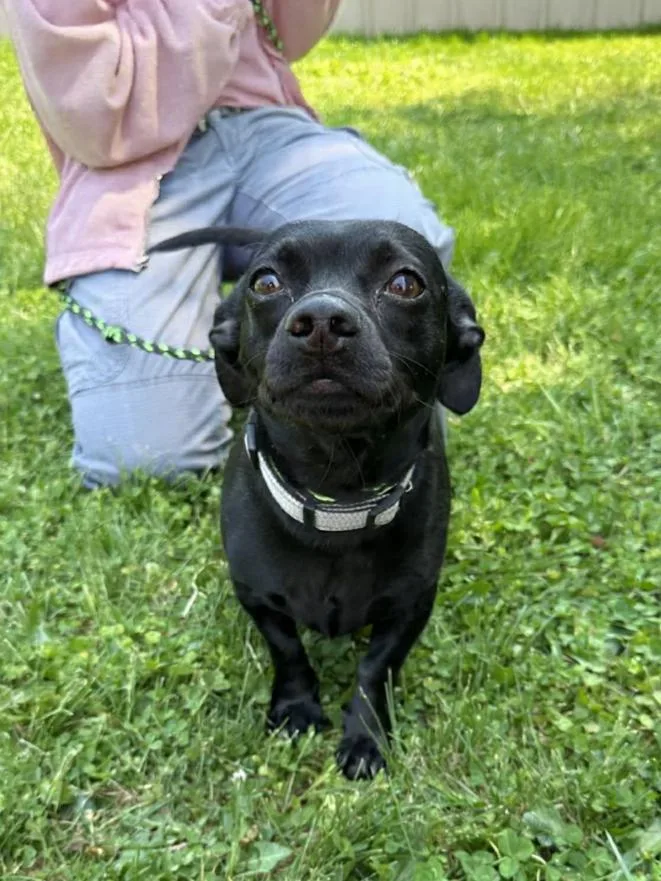 Darla Jean thumbnail 2