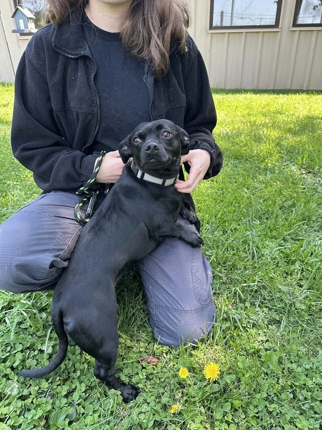 Darla Jean thumbnail 3