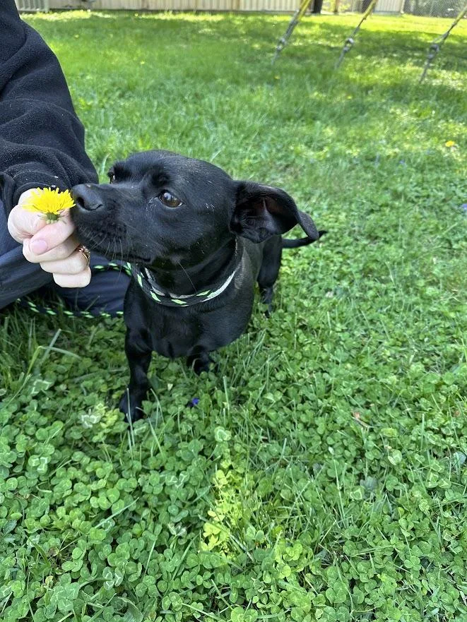 Darla Jean thumbnail 4