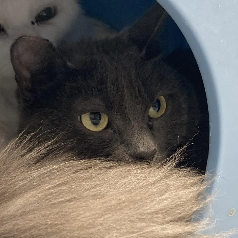 Bitty Bits thumbnail 2