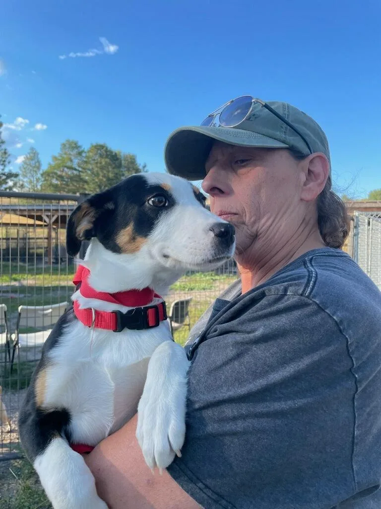 A baby medium-sized female Border Collie dog named Chelsie for adoption in Polson, MT