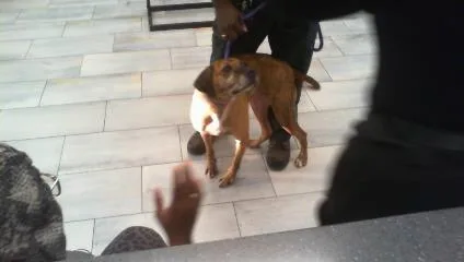 Lola