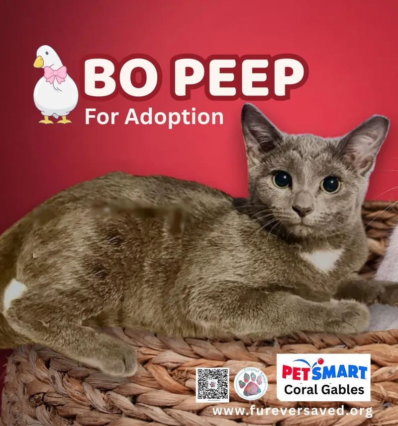 Bo Peep thumbnail 2