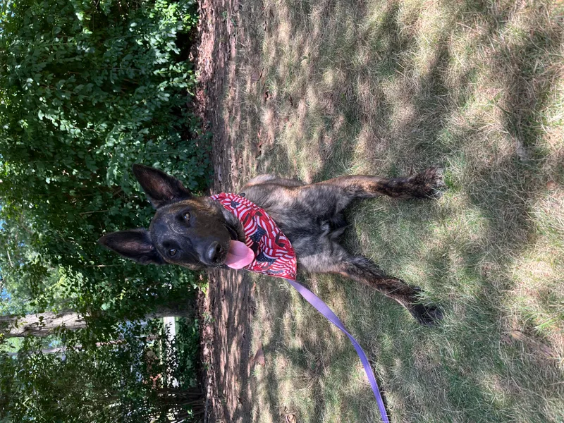 Maverick  Long Island thumbnail 2