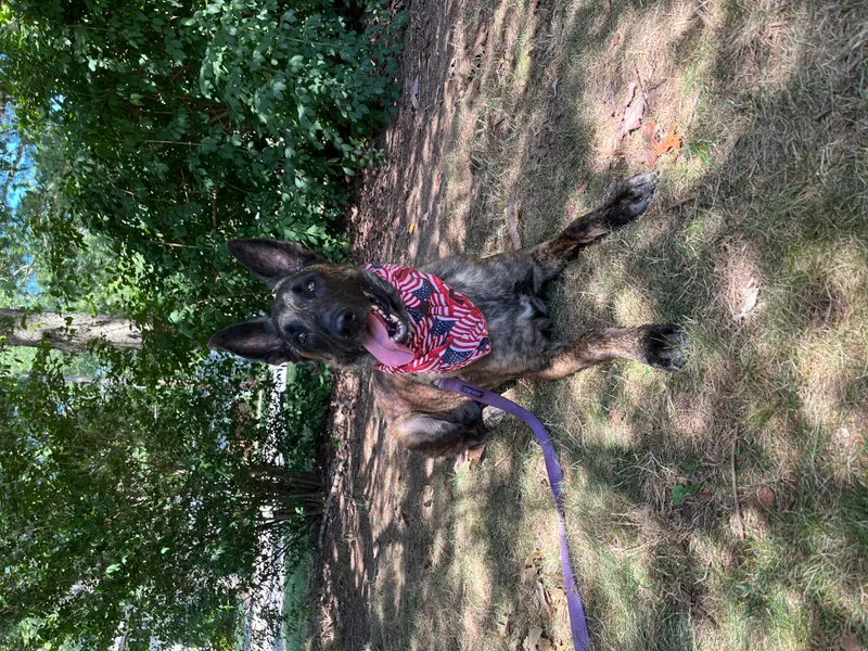 Maverick  Long Island thumbnail 4