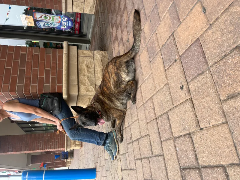 Maverick  Long Island thumbnail 5