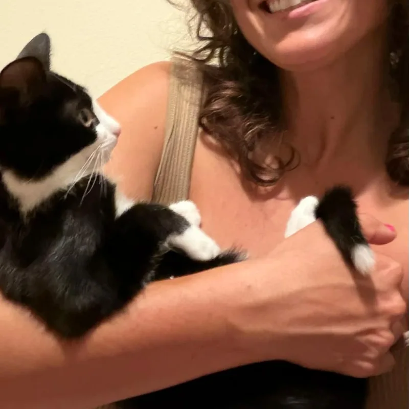 Toby Cat thumbnail 2