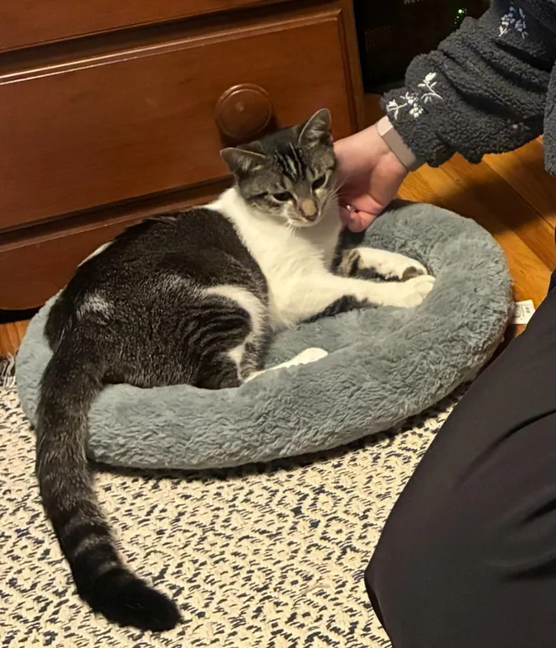 Marylynn thumbnail 2