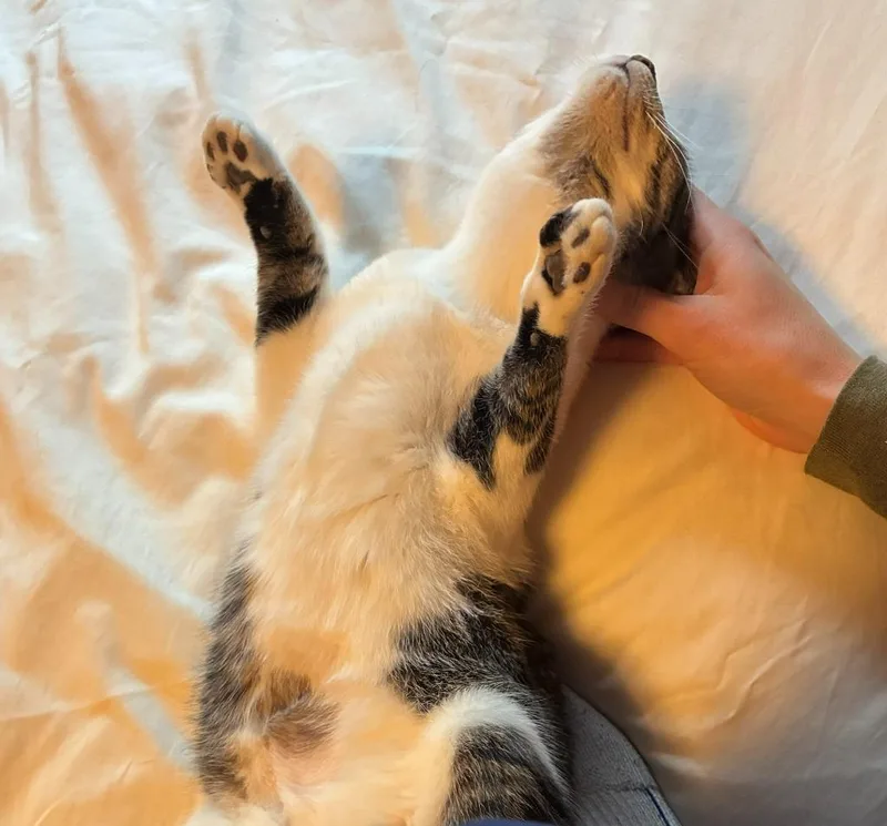 Marylynn thumbnail 3