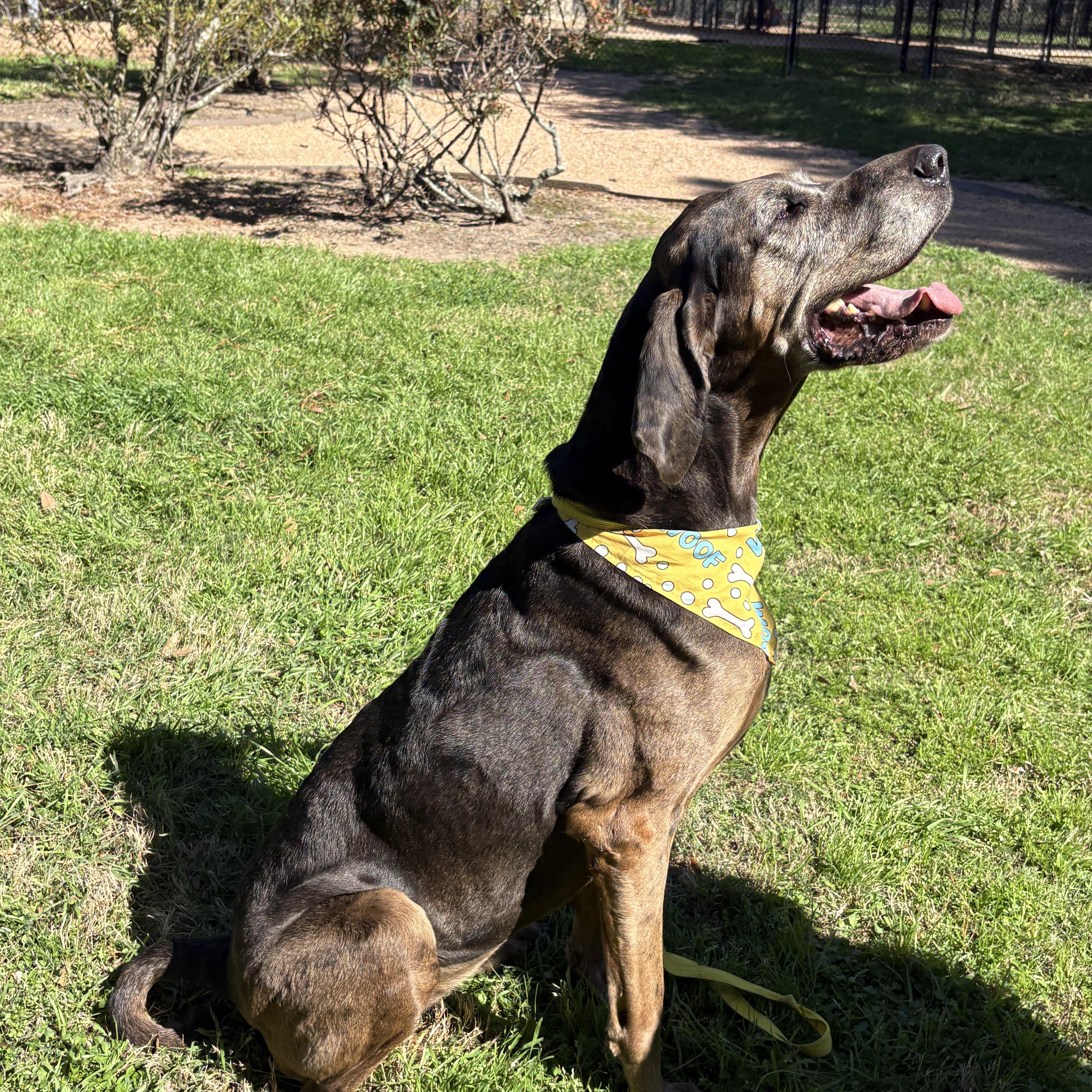 Maggie A Love! thumbnail 4