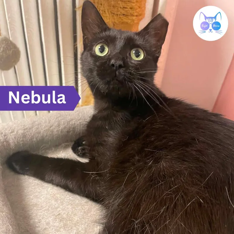 Nebula thumbnail 5