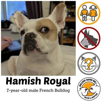 Hamish Royal thumbnail 2