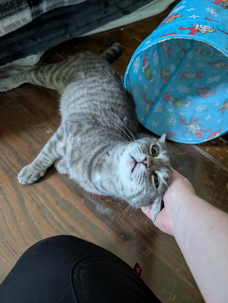 Mama Rainier thumbnail 2