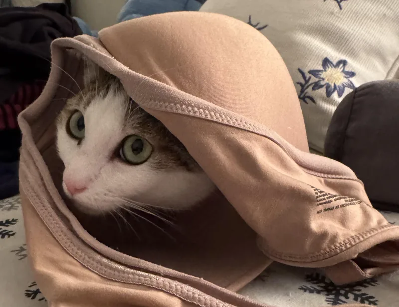 Flounder thumbnail 6