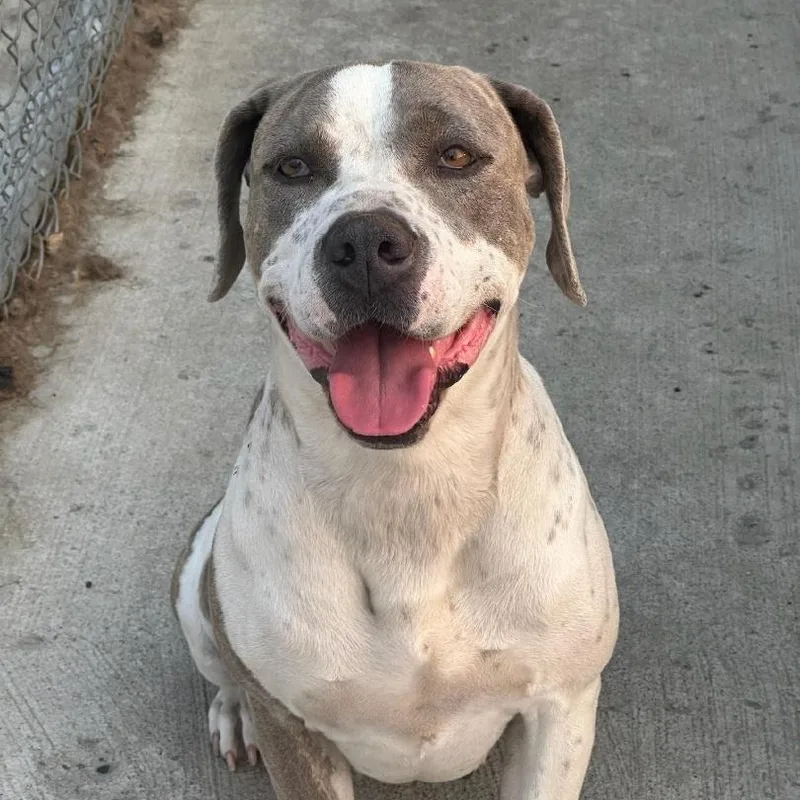 Themy  Gentle Velcro thumbnail 2