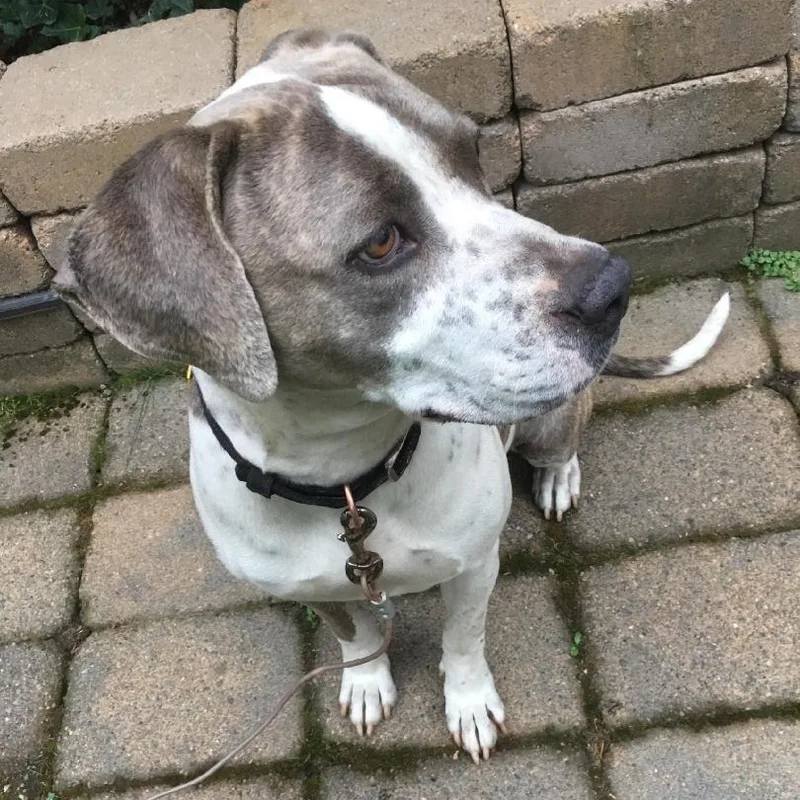 Themy  Gentle Velcro thumbnail 3