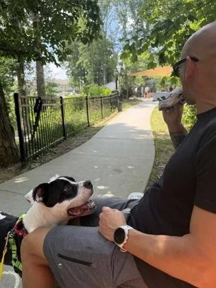 An adult large-sized male Mixed Breed dog named Ballad for adoption in Chamblee, GA