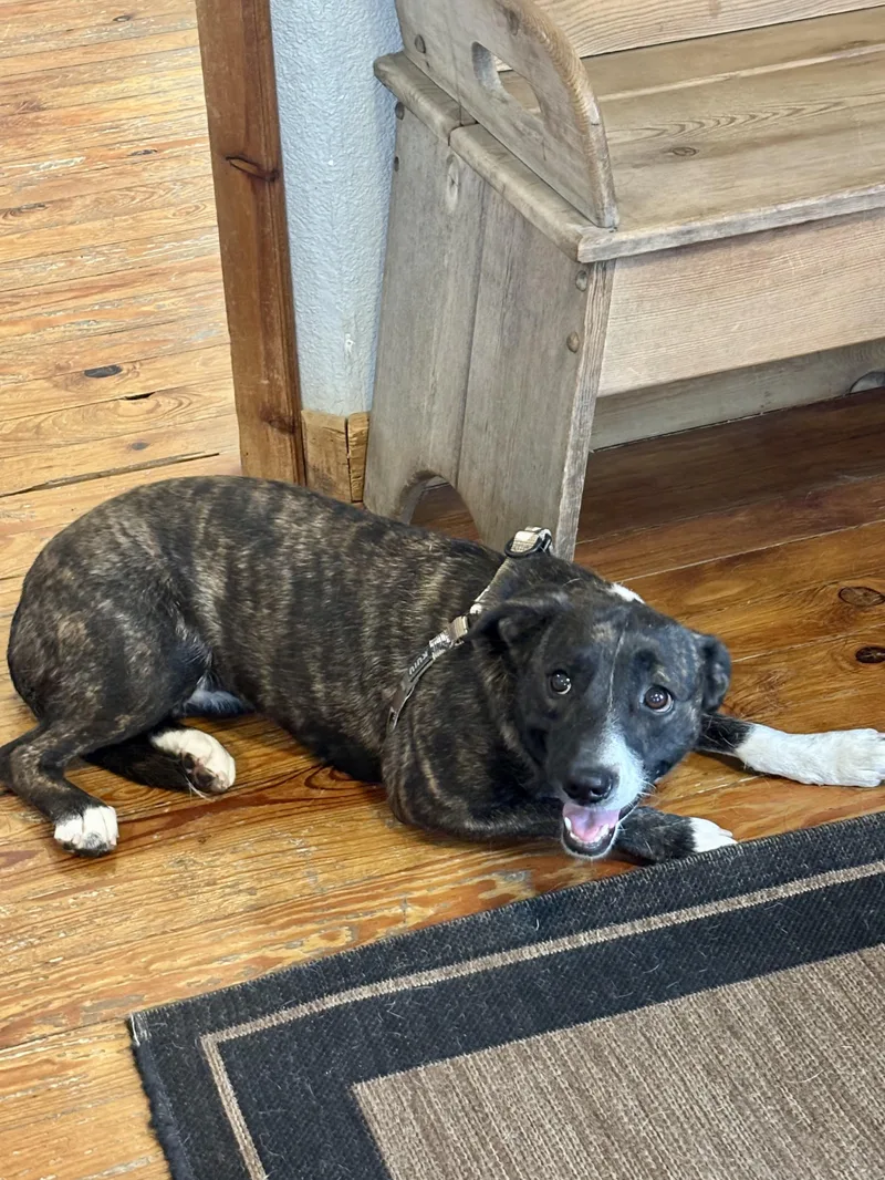 Gabrielle thumbnail 2