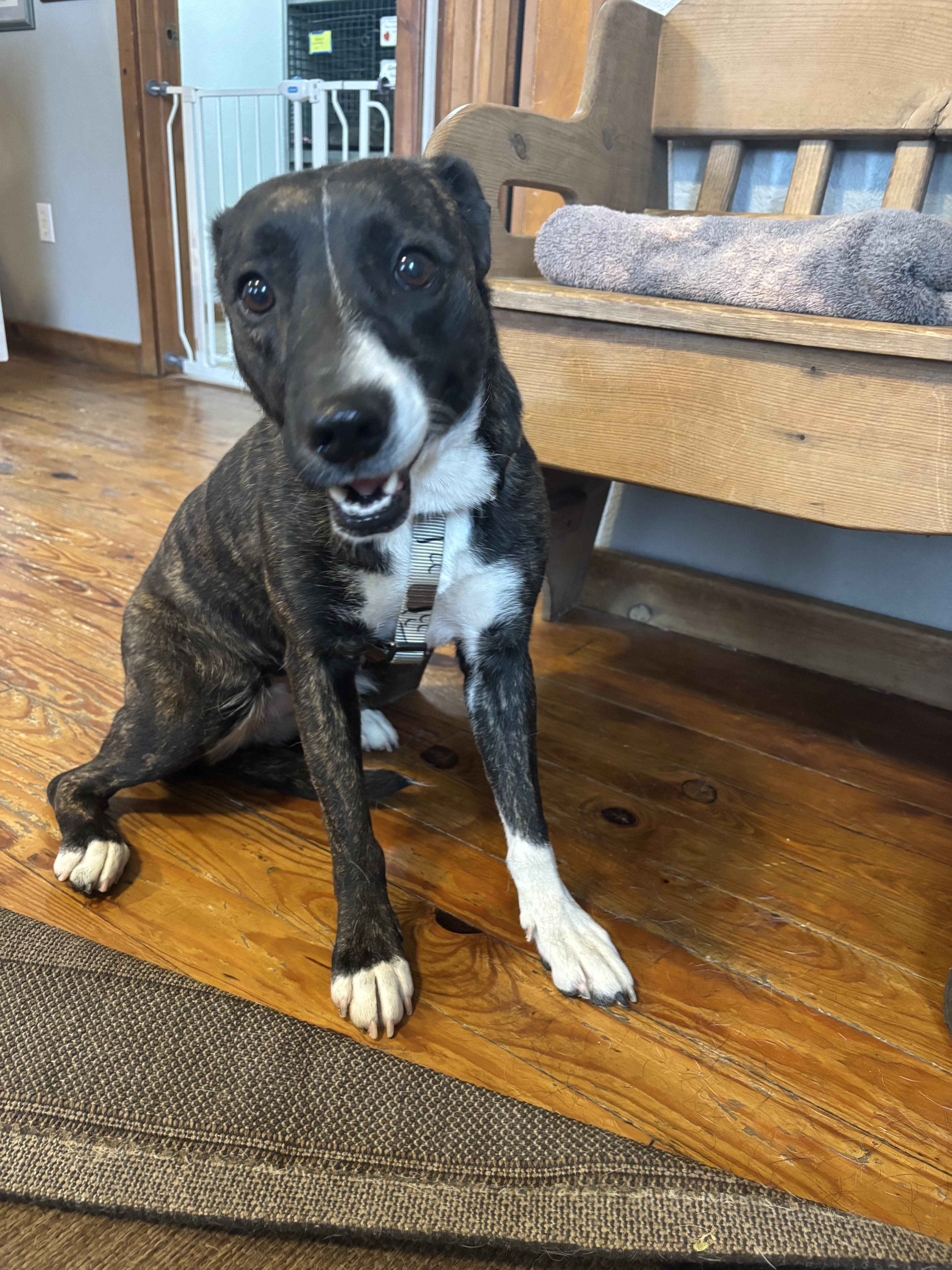 Gabrielle thumbnail 3