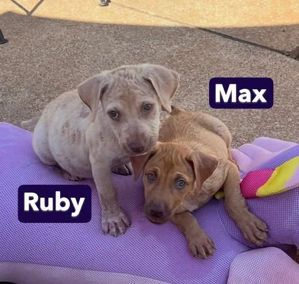 Baby Max thumbnail 4