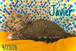 Javier thumbnail 2