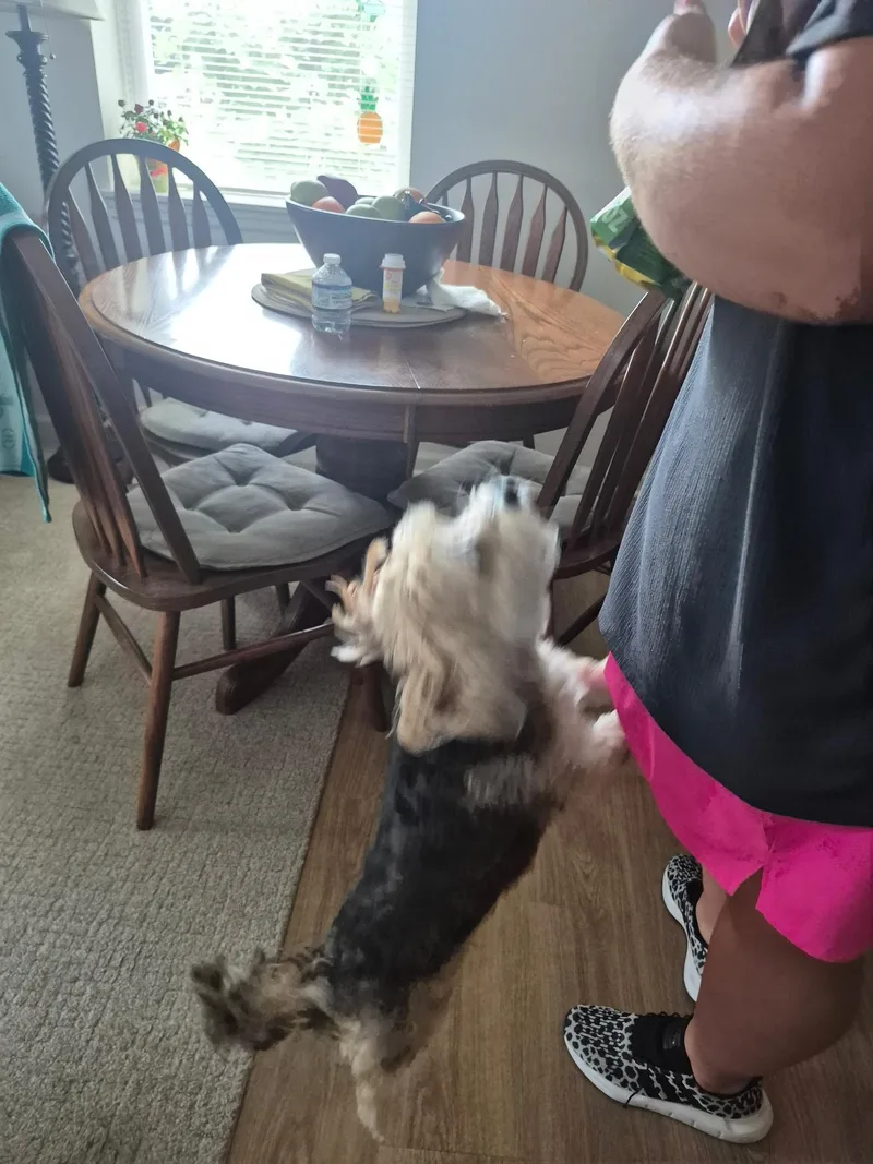Sammy