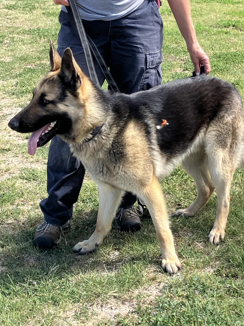 Tankbig Beautiful Boy thumbnail 2